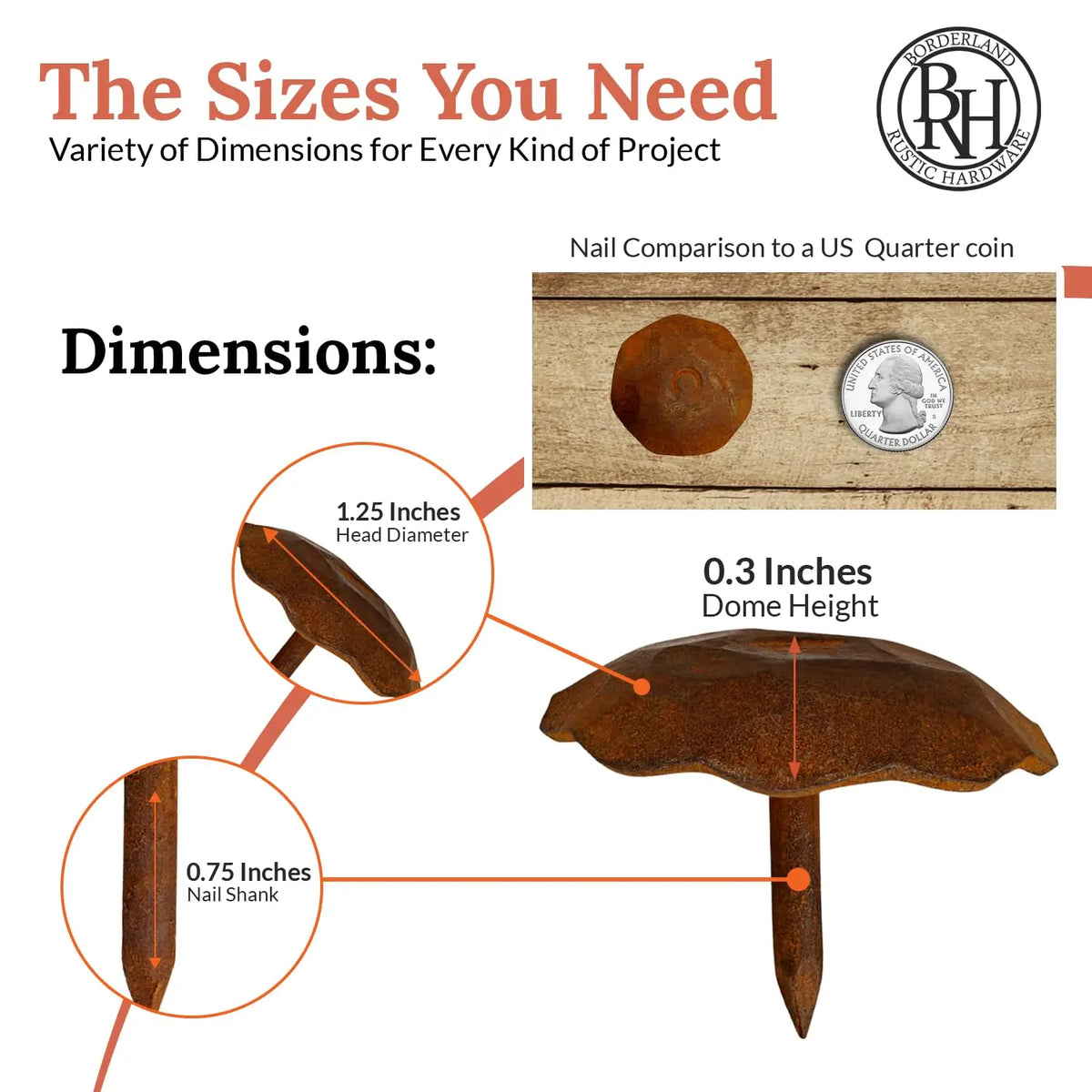 Artisan Series | 1.25" Round Decorative Nails &amp; Clavos