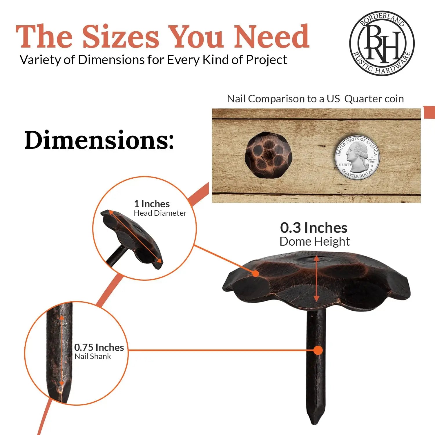 Artisan Series | 1" Round Decorative Nails & Clavos