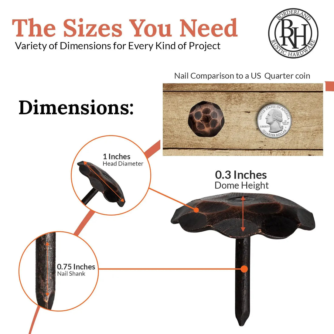 Artisan Series | 1" Round Decorative Nails & Clavos