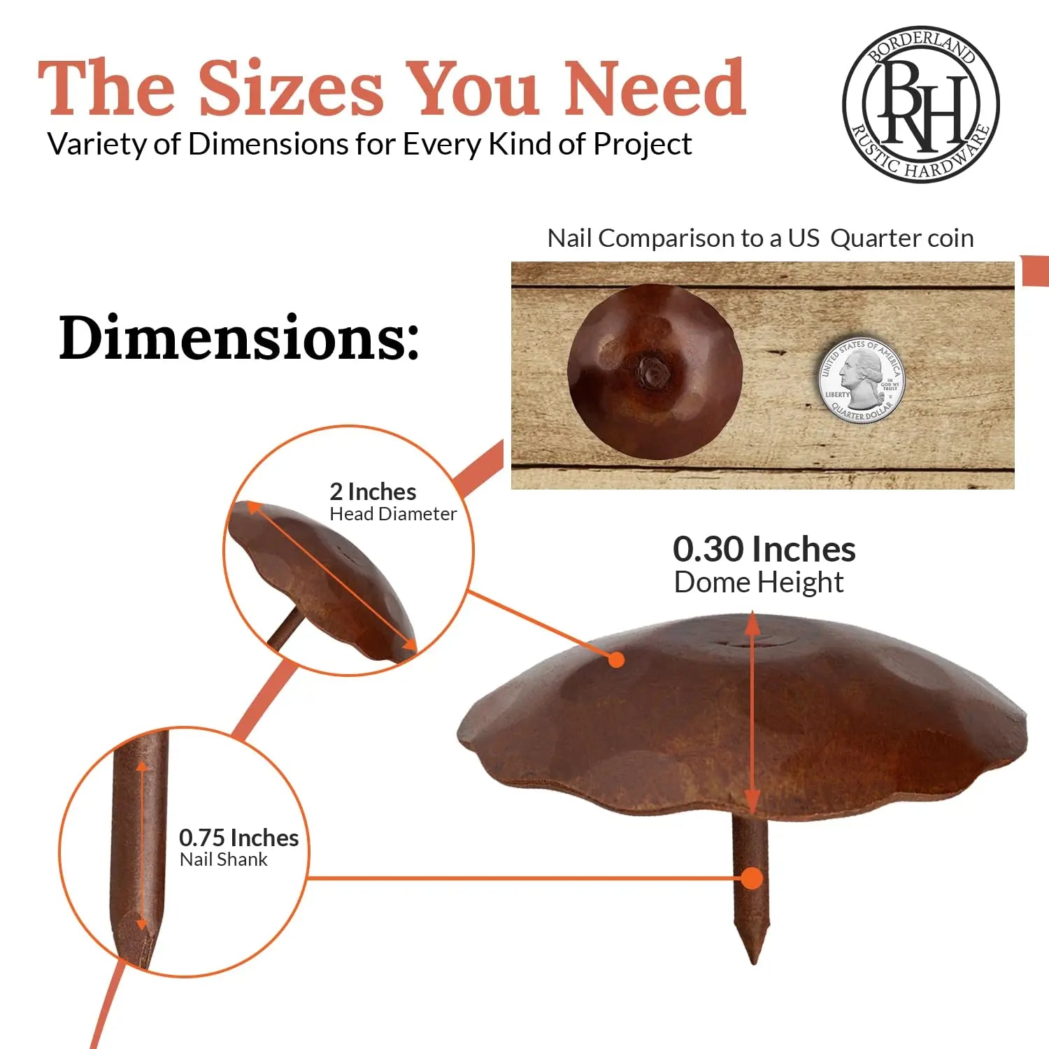 Artisan Series | 2" Round Decorative Nails & Clavos