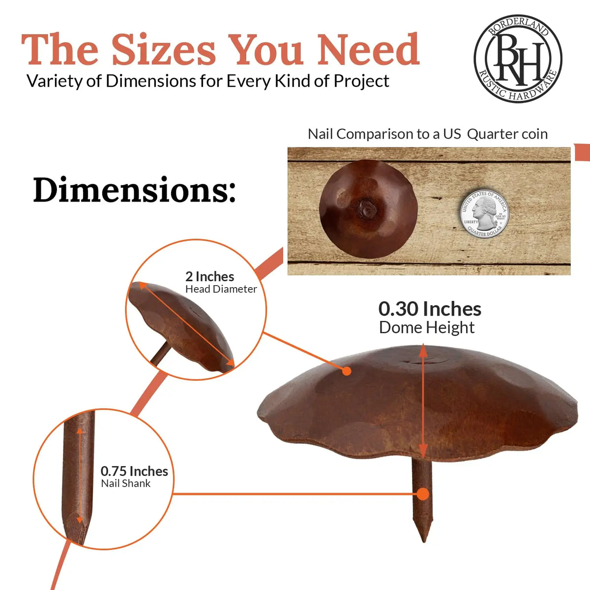Artisan Series | 2" Round Decorative Nails &amp; Clavos