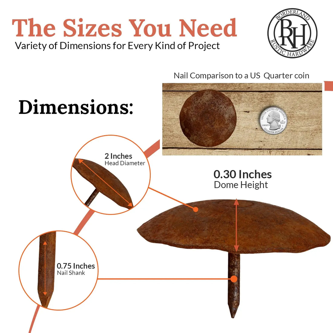 Artisan Series | 2" Round Decorative Nails & Clavos