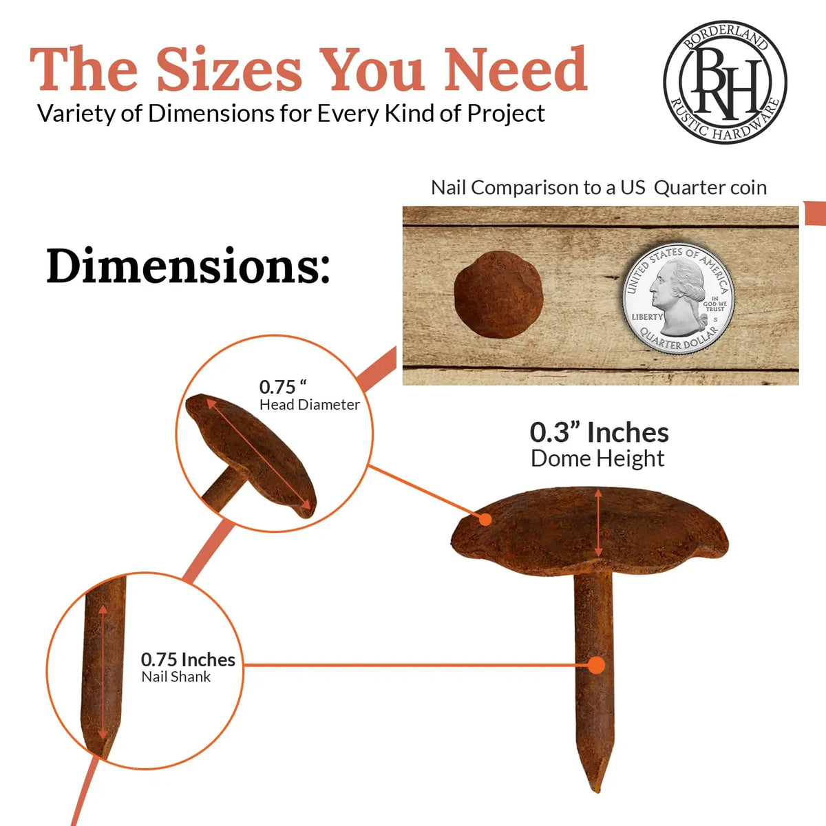 Artisan Series | 0.75" Round Decorative Nails &amp; Clavos