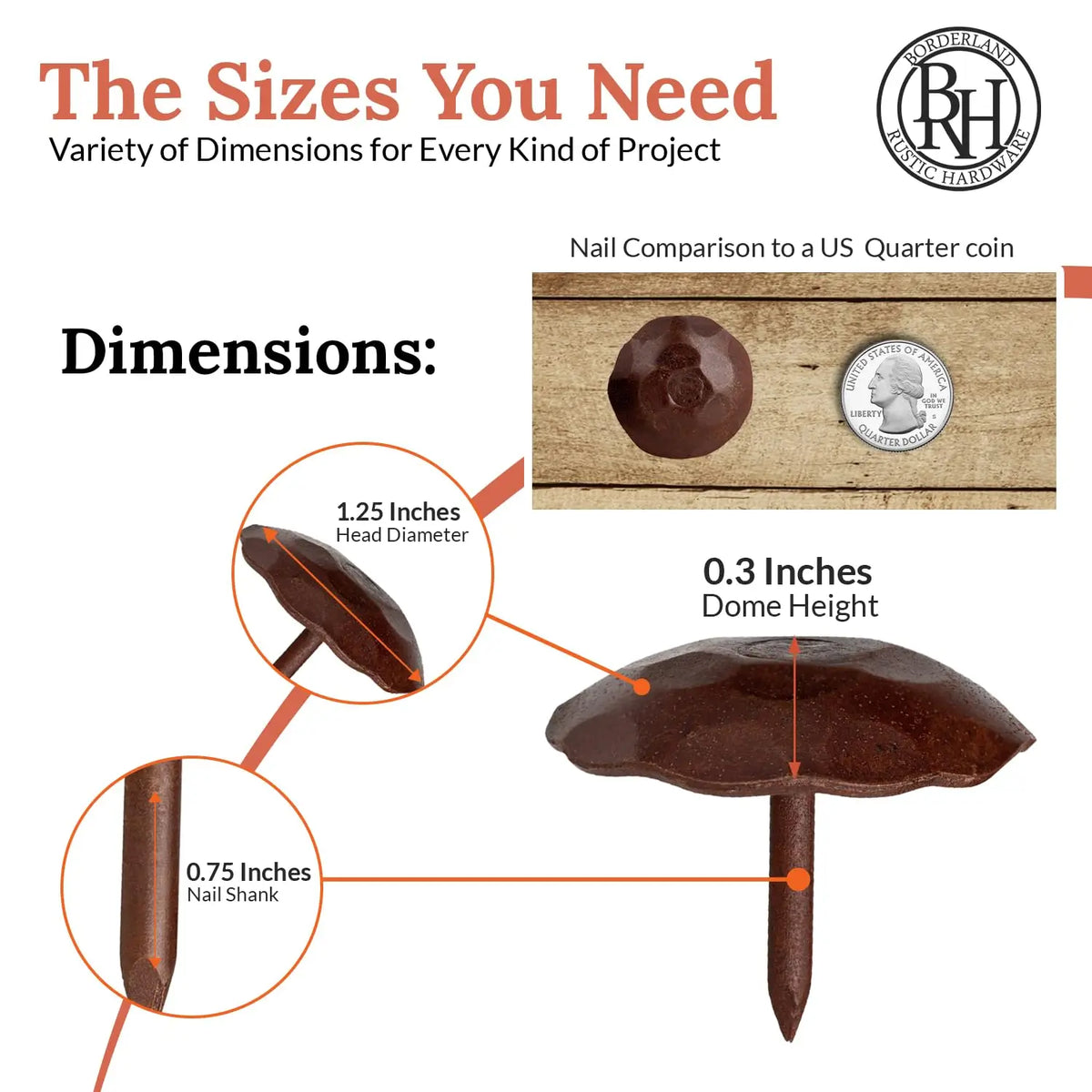 Artisan Series | 1.25" Round Decorative Nails &amp; Clavos