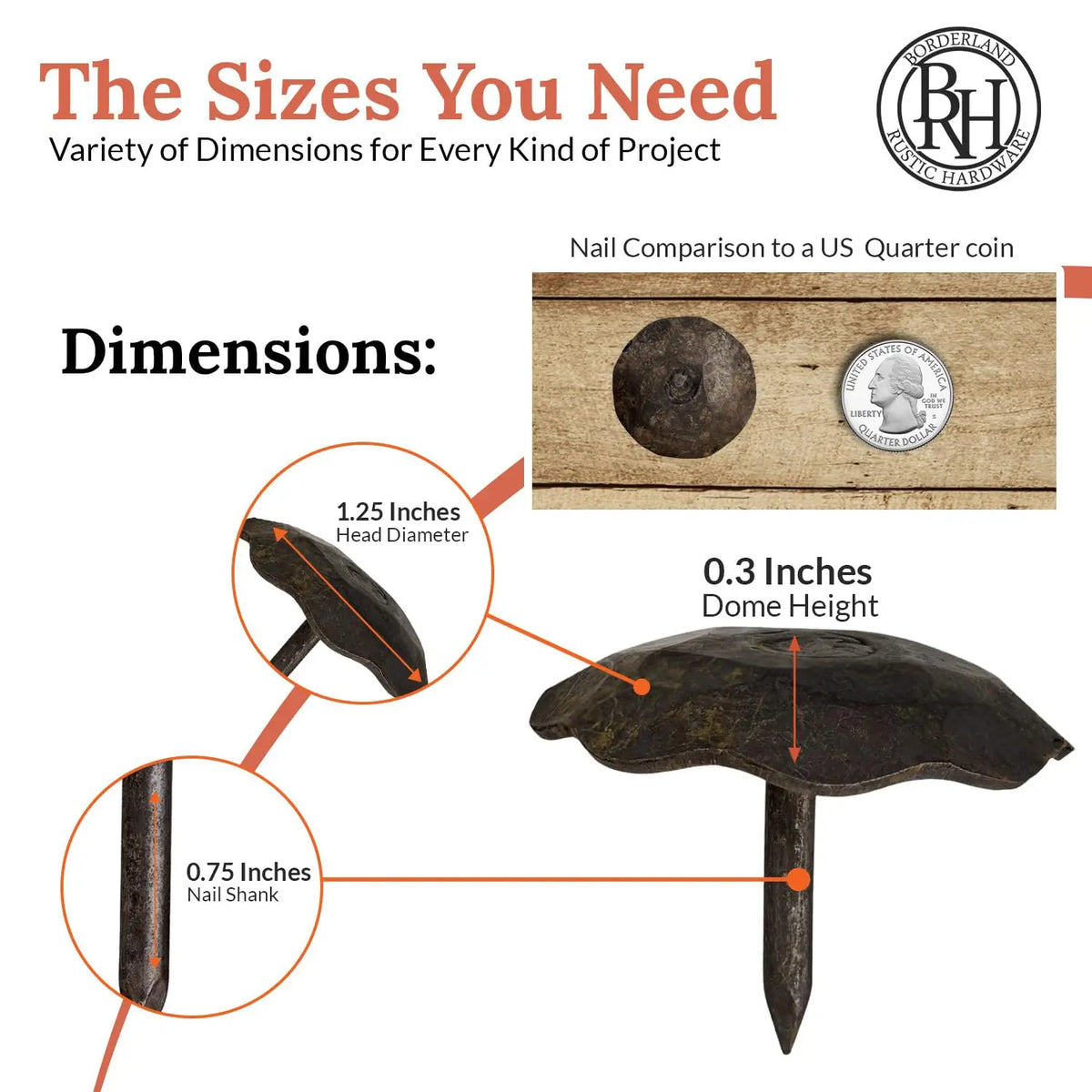 Artisan Series | 1.25" Round Decorative Nails &amp; Clavos