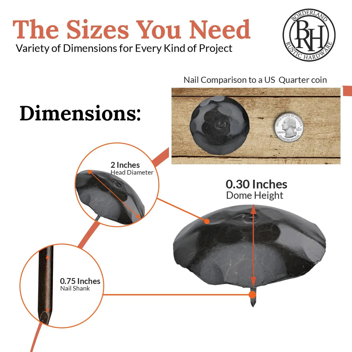 Artisan Series | 2" Round Decorative Nails &amp; Clavos