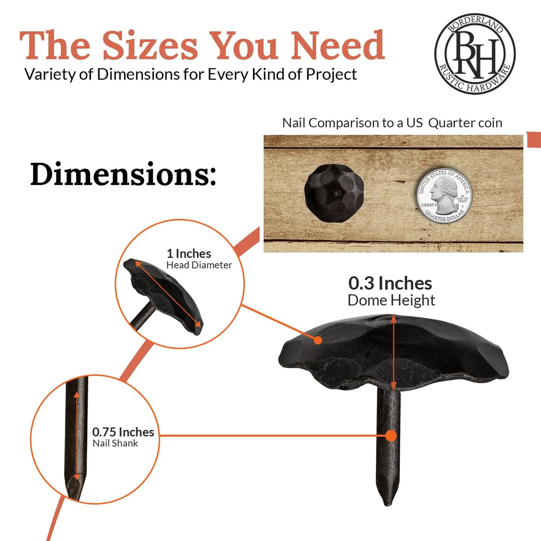 Artisan Series | 1" Round Decorative Nails & Clavos