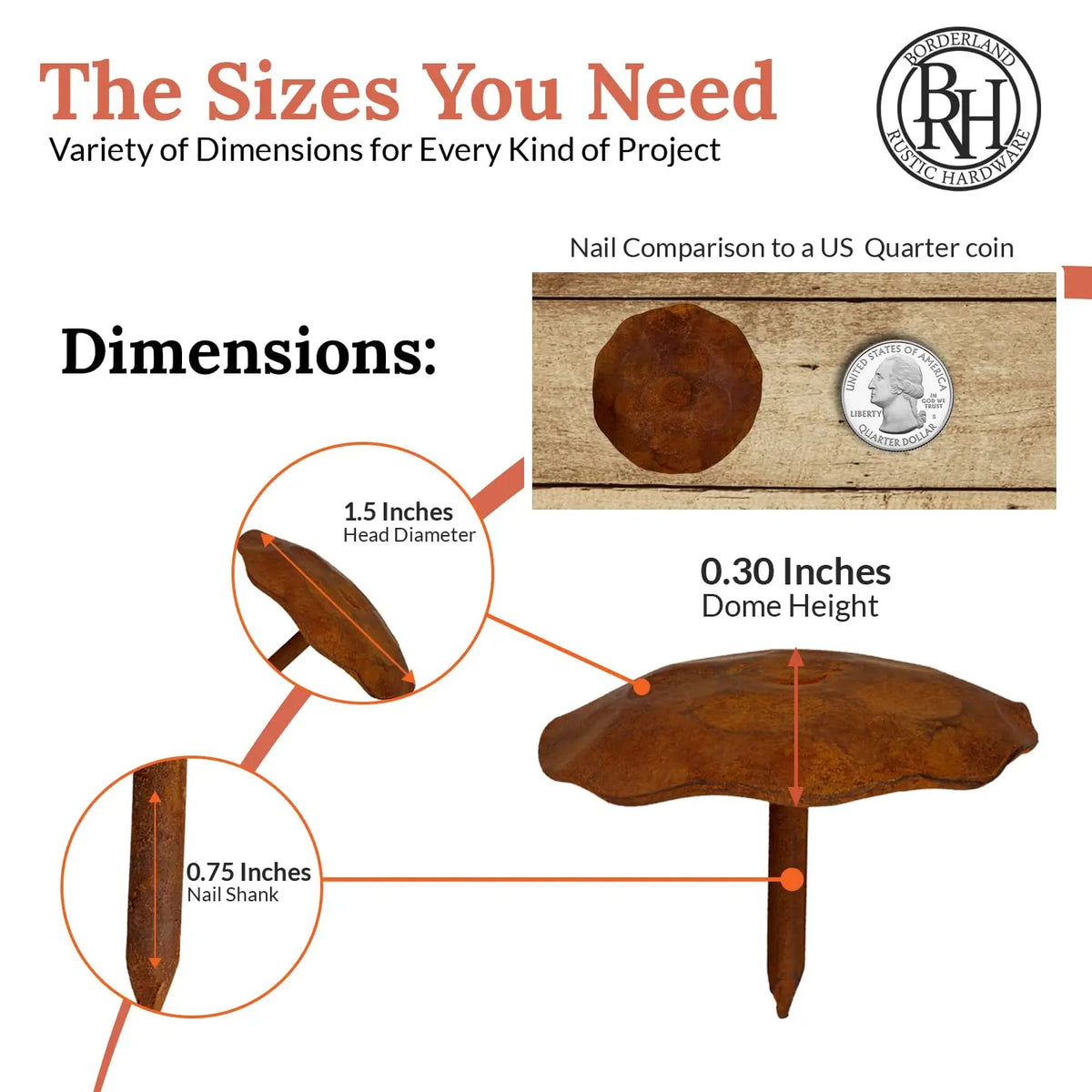 Artisan Series | 1.5" Round Decorative Nails &amp; Clavos