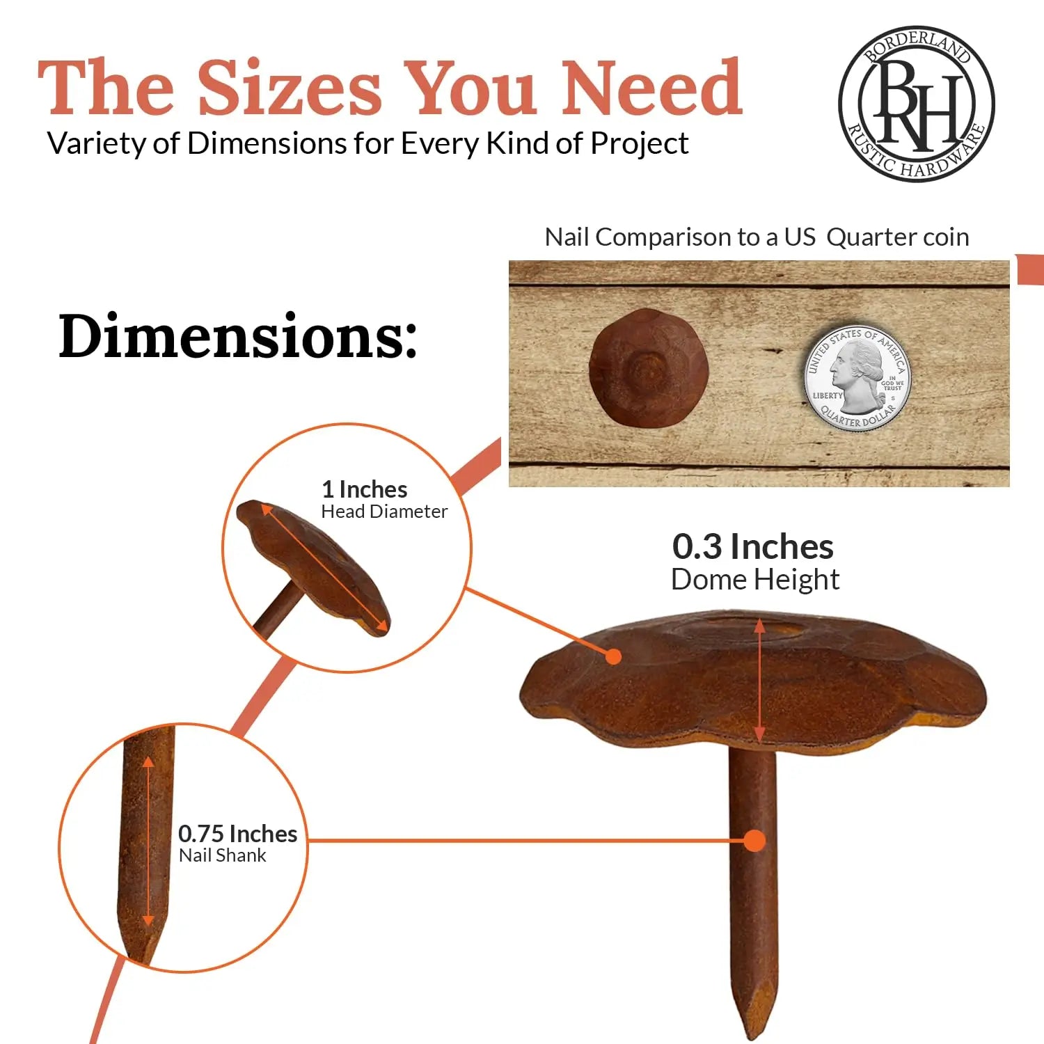 Artisan Series | 1" Round Decorative Nails & Clavos
