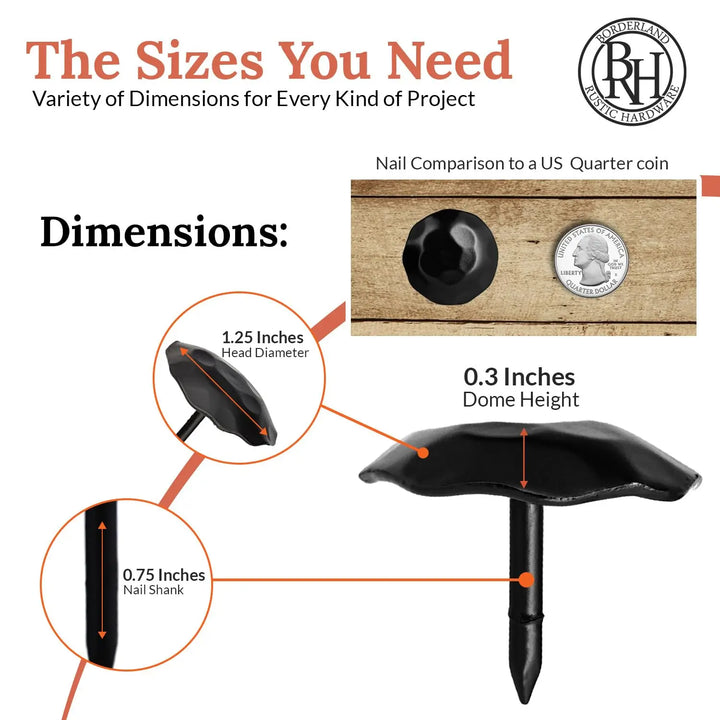 Artisan Series | 1.25" Round Decorative Nails & Clavos