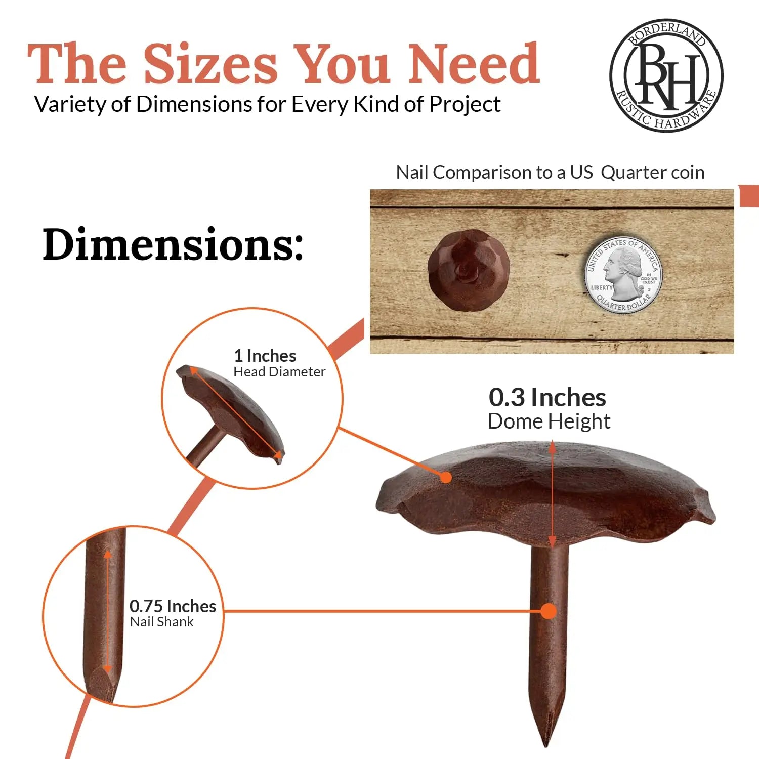 Artisan Series | 1" Round Decorative Nails & Clavos