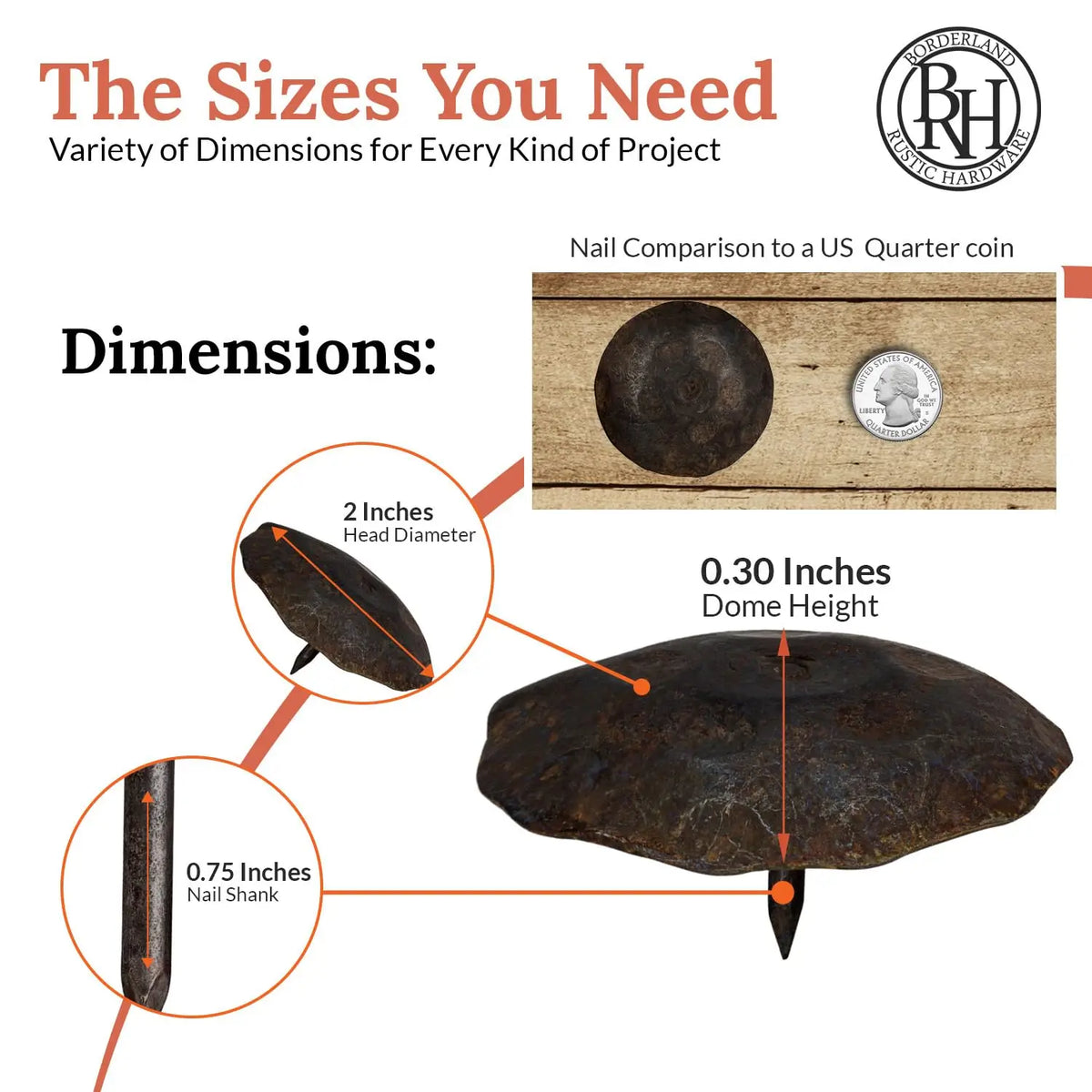 Artisan Series | 2" Round Decorative Nails &amp; Clavos
