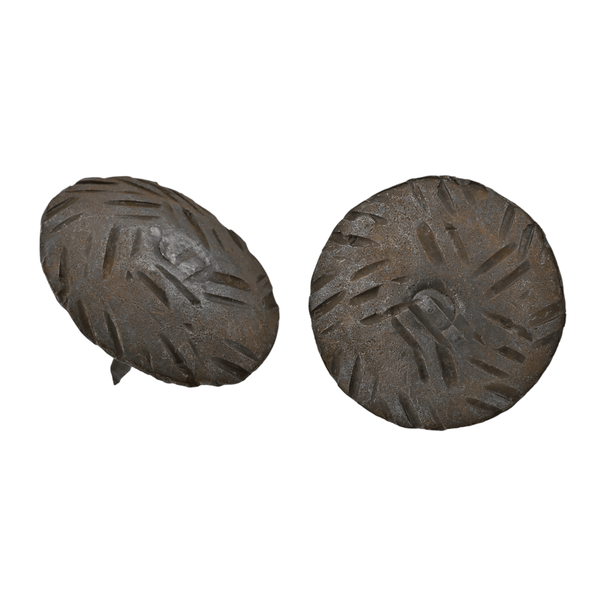 La Frontera Series | 1.25&quot; Round Decorative Nails &amp; Clavos