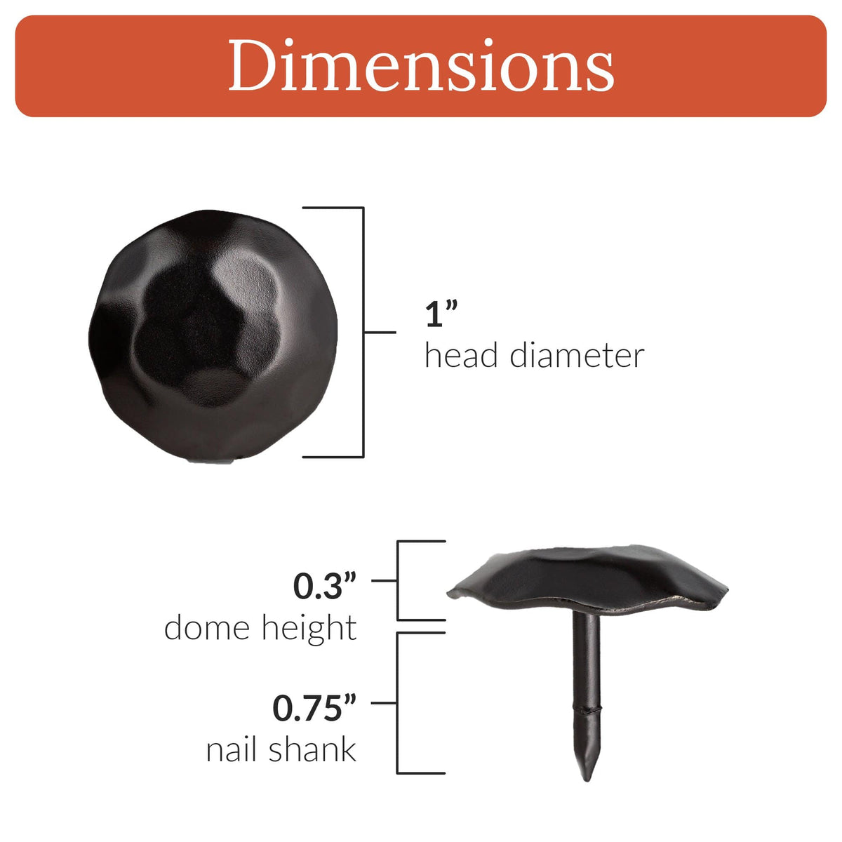 Artisan Series | 1&quot; Round Decorative Nails &amp; Clavos