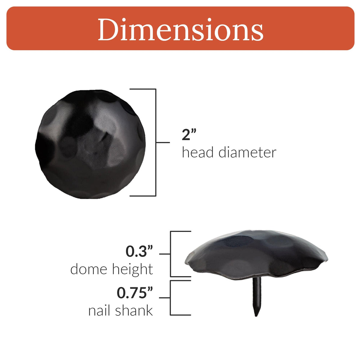 Artisan Series | 2&quot; Round Decorative Nails &amp; Clavos