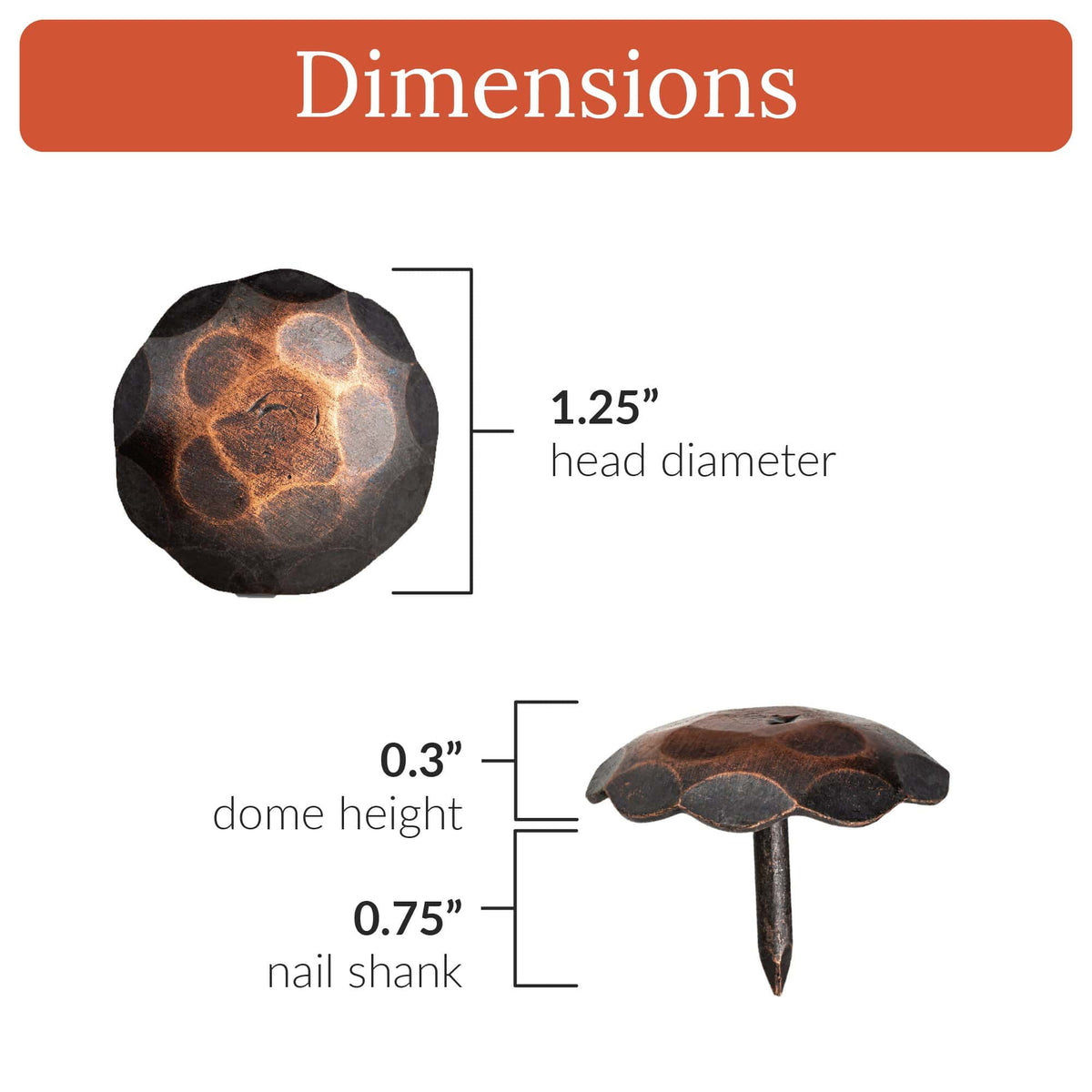 Artisan Series | 1.25&quot; Round Decorative Nails &amp; Clavos