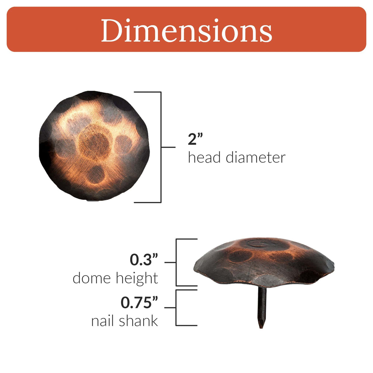 Artisan Series | 2&quot; Round Decorative Nails &amp; Clavos