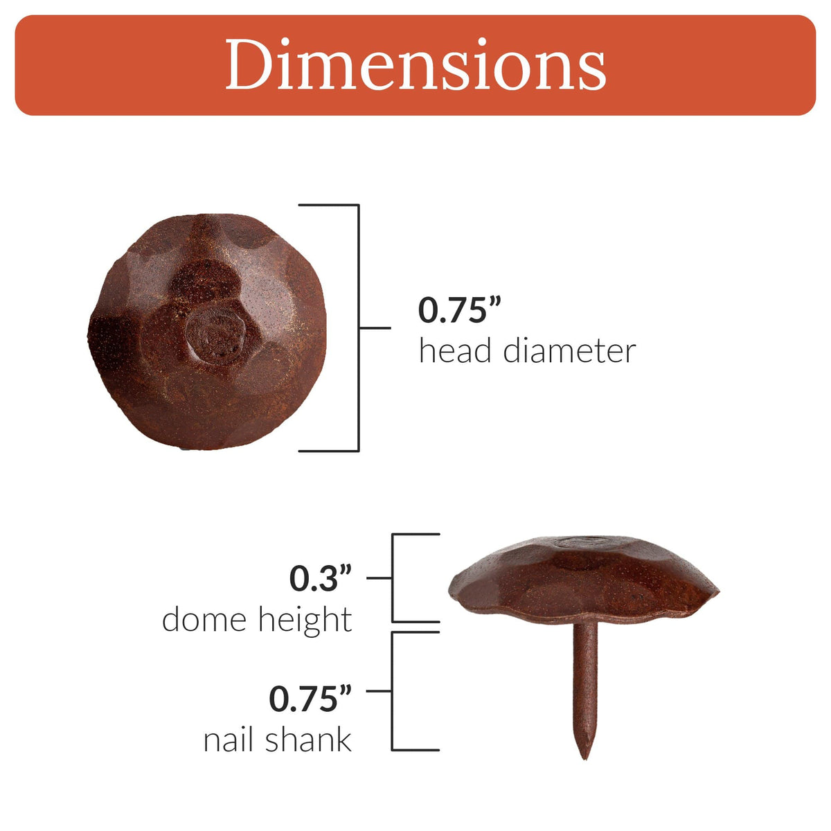 Artisan Series | 0.75&quot; Round Decorative Nails &amp; Clavos