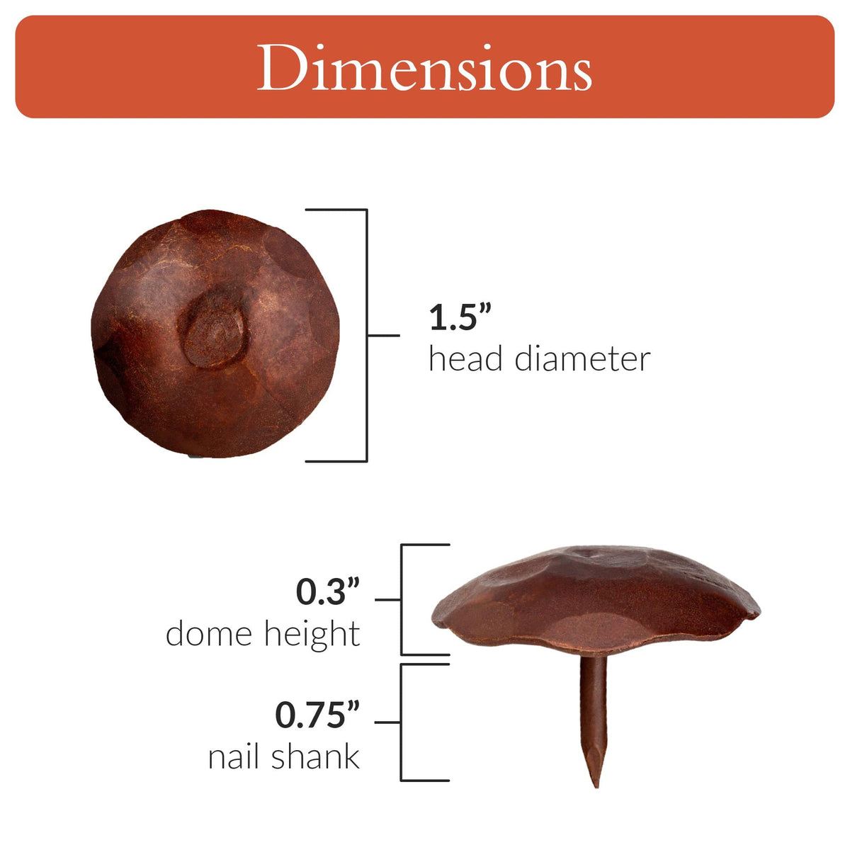 Artisan Series | 1.5&quot; Round Decorative Nails &amp; Clavos