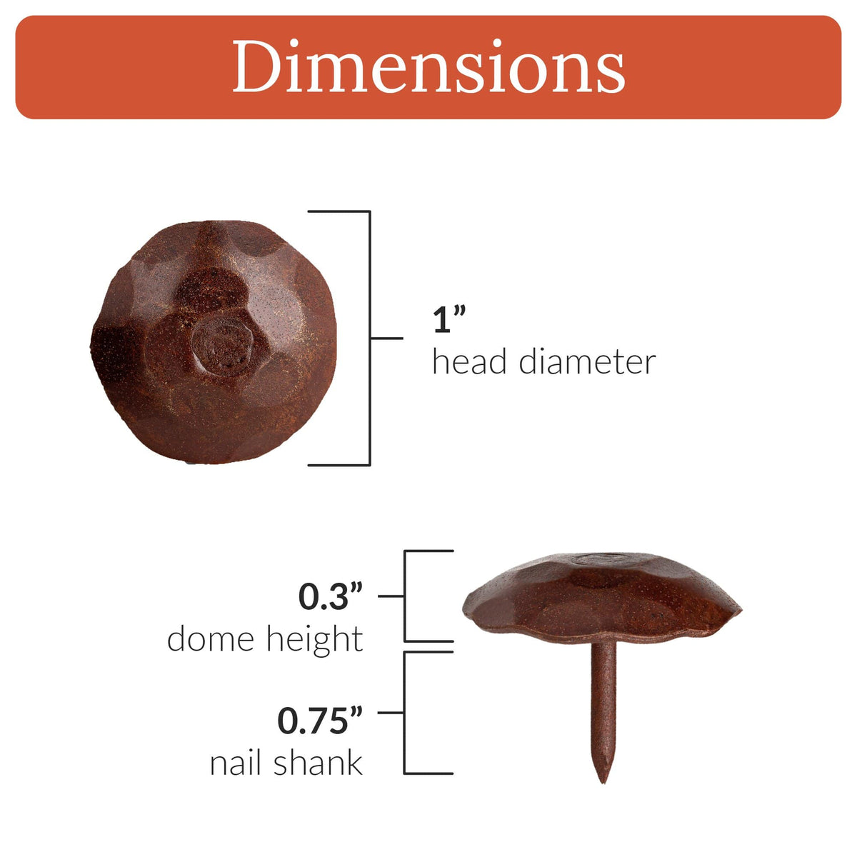 Artisan Series | 1&quot; Round Decorative Nails &amp; Clavos