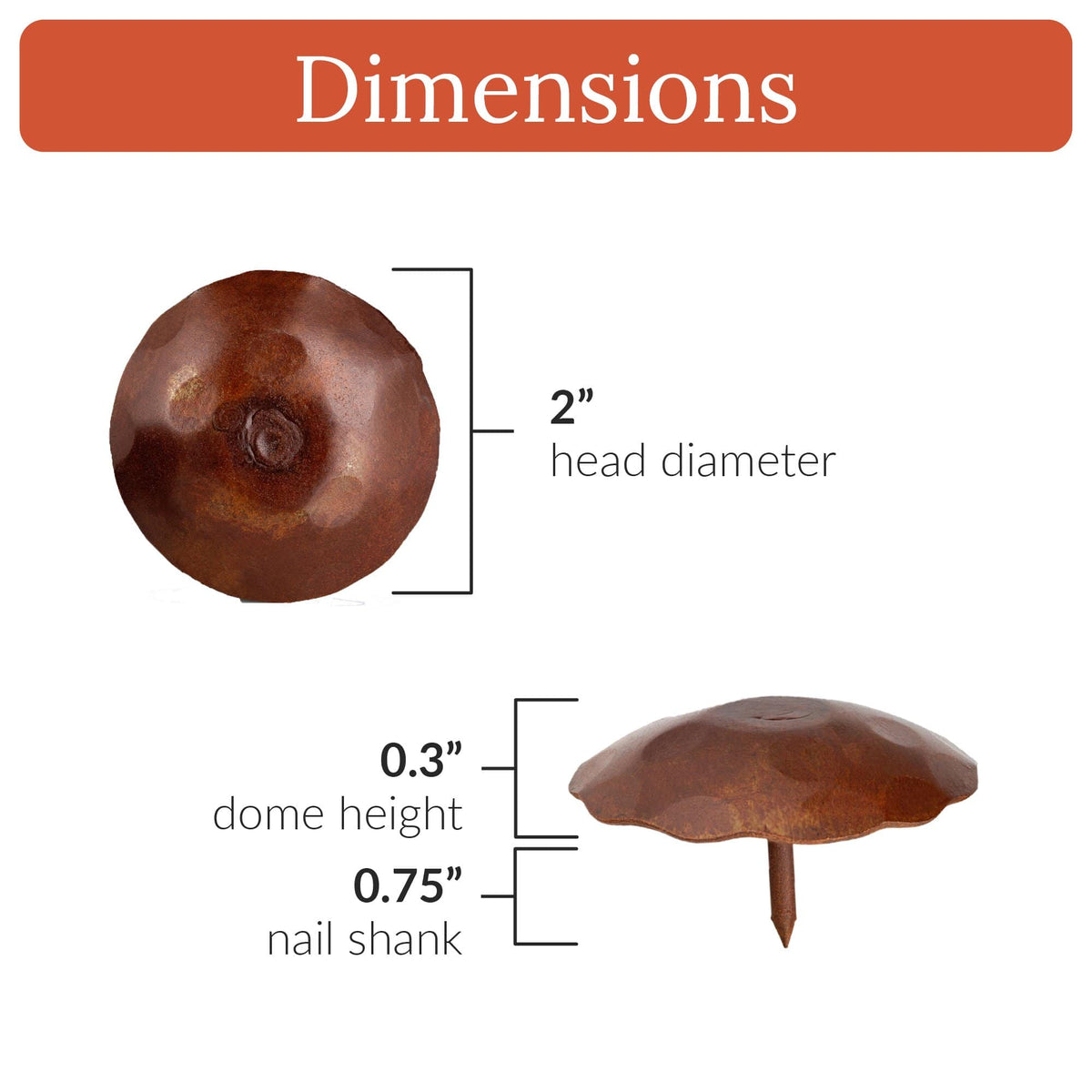 Borderland-rustic-hardware decorative-nails clavos iron forged-hardware decorative-hardware tacks large round sealed rust 2