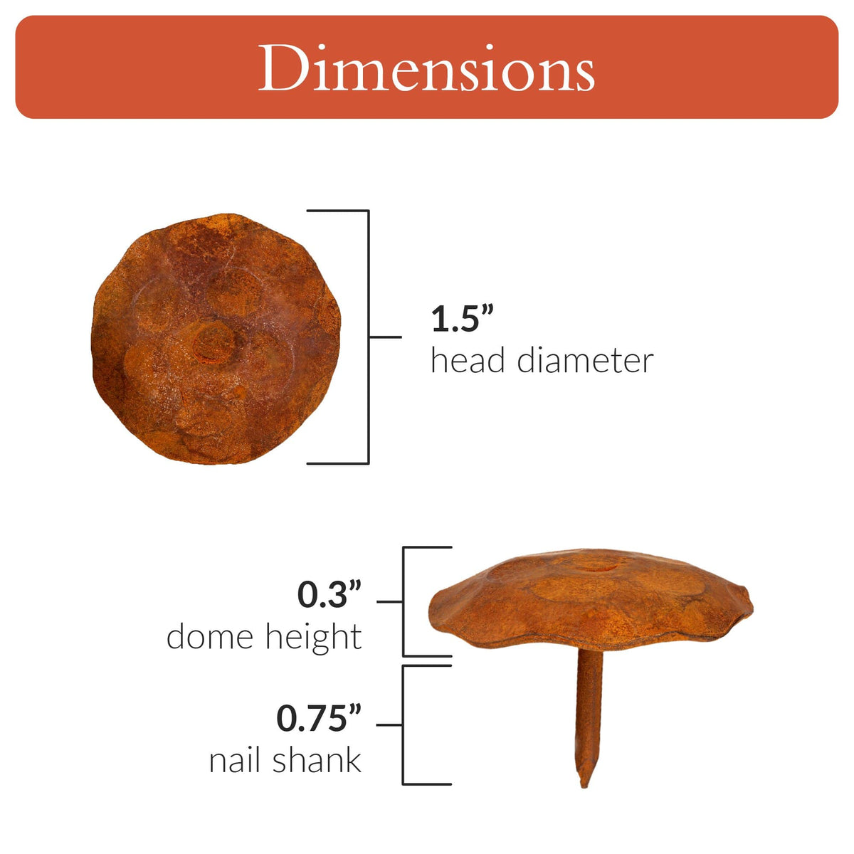 Artisan Series | 1.5&quot; Round Decorative Nails &amp; Clavos