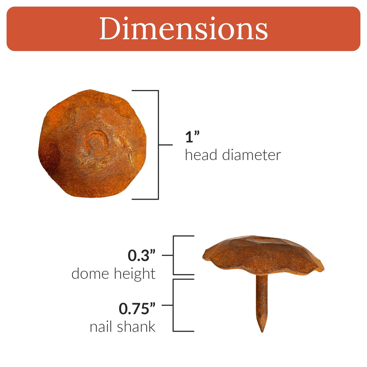 Artisan Series | 1&quot; Round Decorative Nails &amp; Clavos