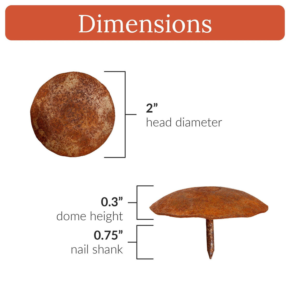 Artisan Series | 2&quot; Round Decorative Nails &amp; Clavos