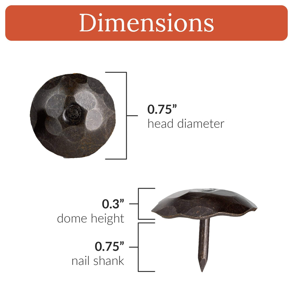 Artisan Series | 0.75&quot; Round Decorative Nails &amp; Clavos