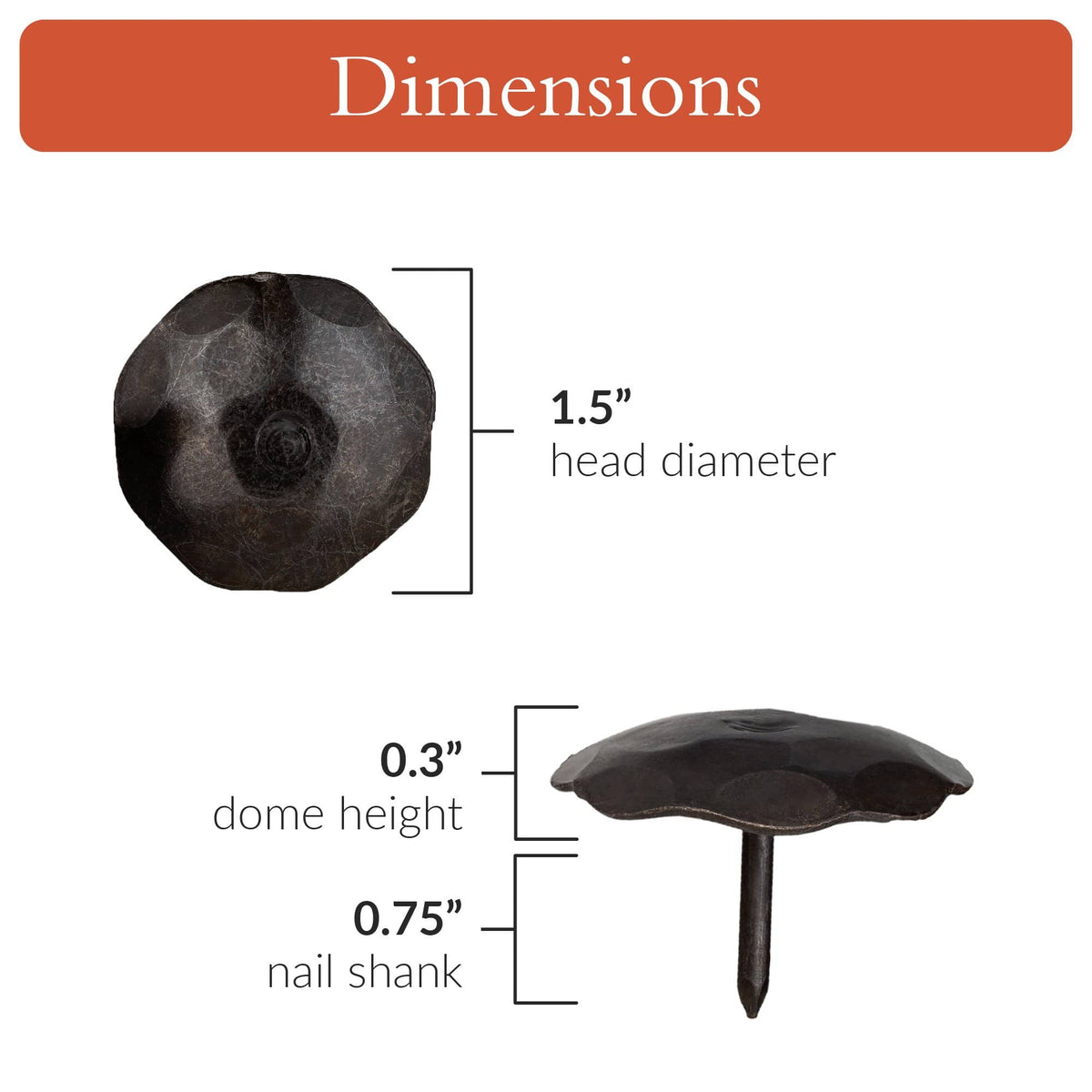 Artisan Series | 1.5&quot; Round Decorative Nails &amp; Clavos