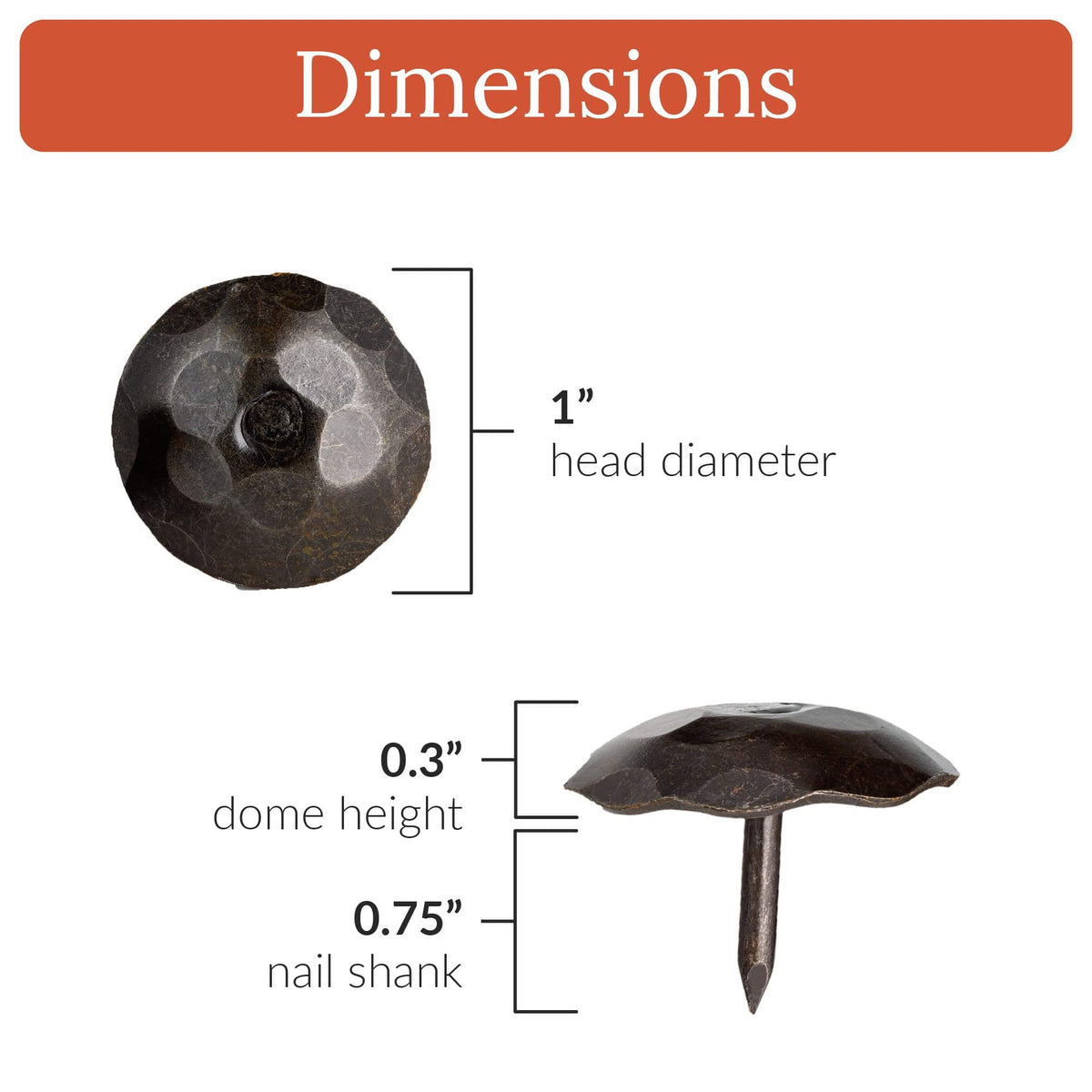 Artisan Series | 1&quot; Round Decorative Nails &amp; Clavos