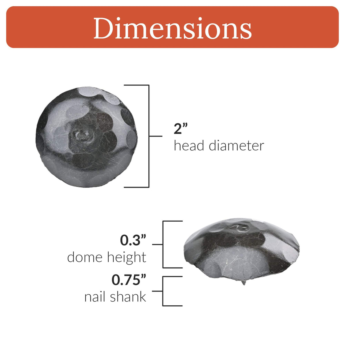 Artisan Series | 2&quot; Round Decorative Nails &amp; Clavos
