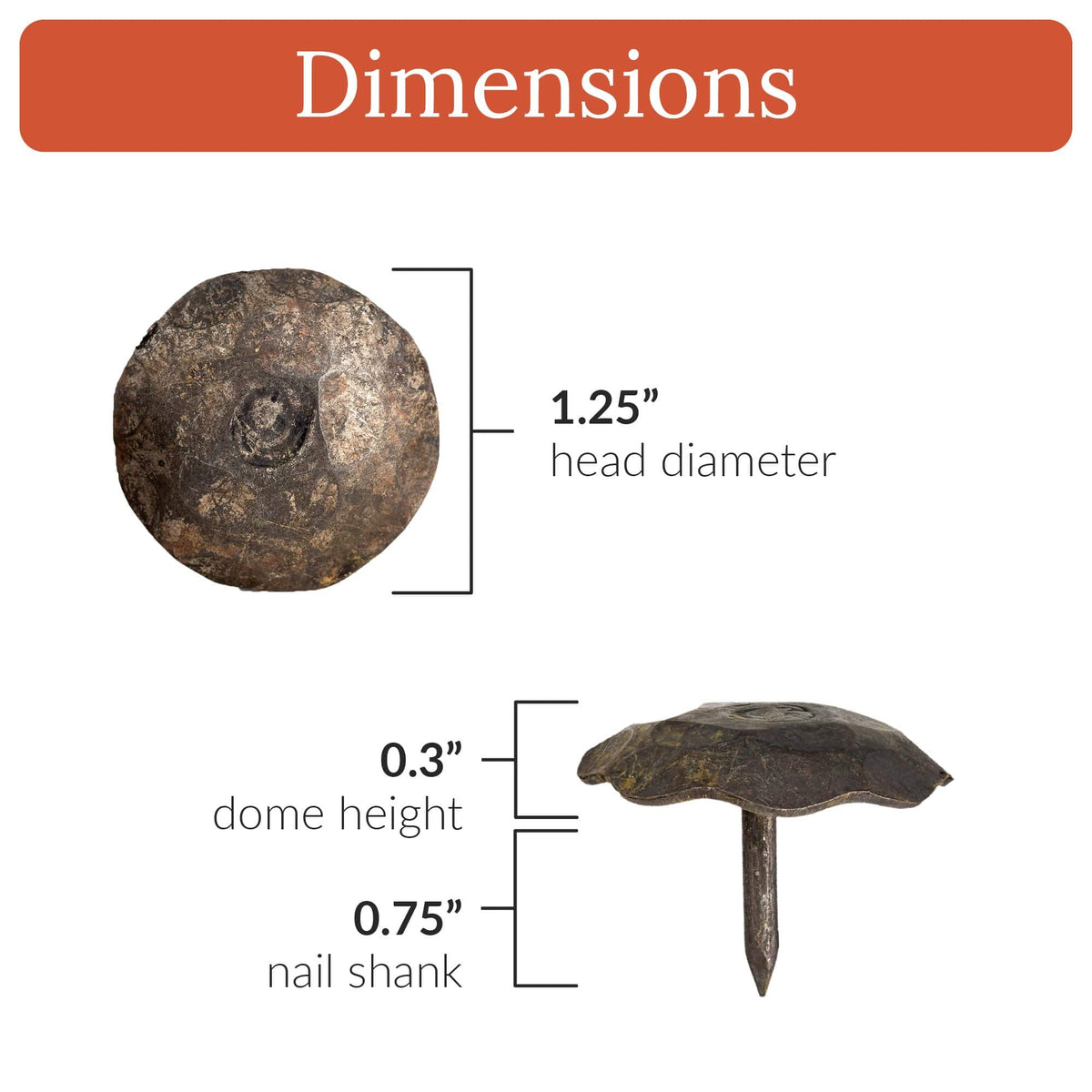 Artisan Series | 1.25&quot; Round Decorative Nails &amp; Clavos