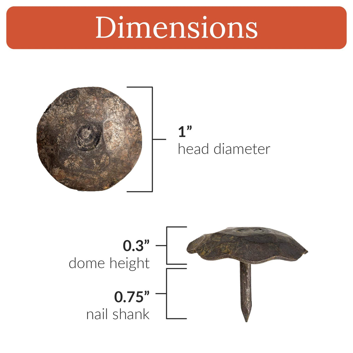 Artisan Series | 1&quot; Round Decorative Nails &amp; Clavos