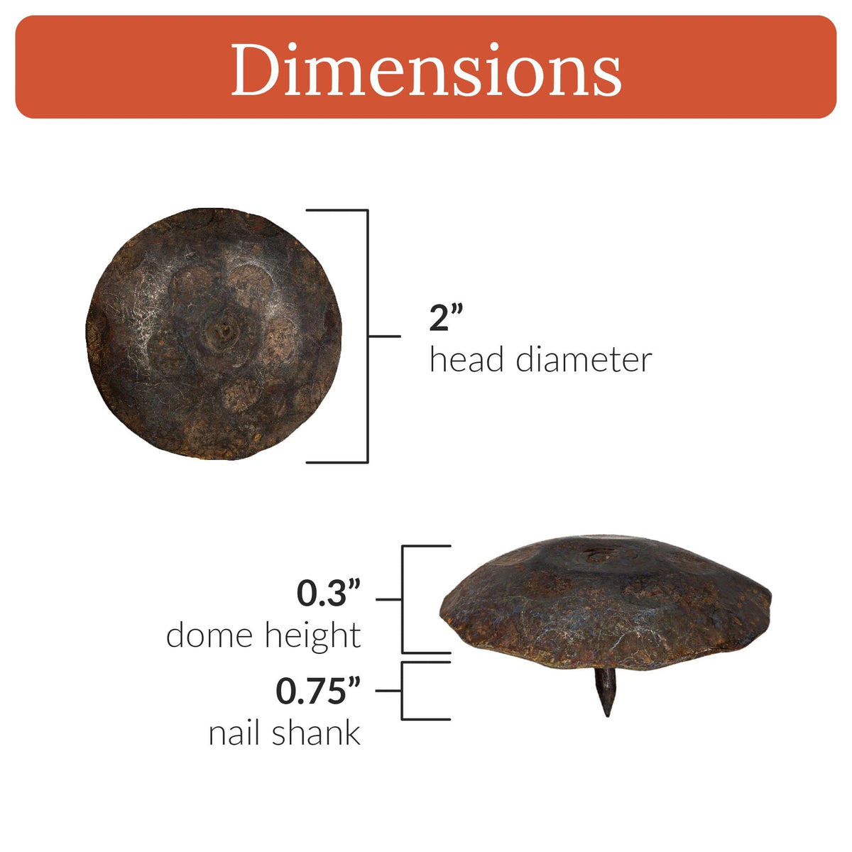 Artisan Series | 2&quot; Round Decorative Nails &amp; Clavos