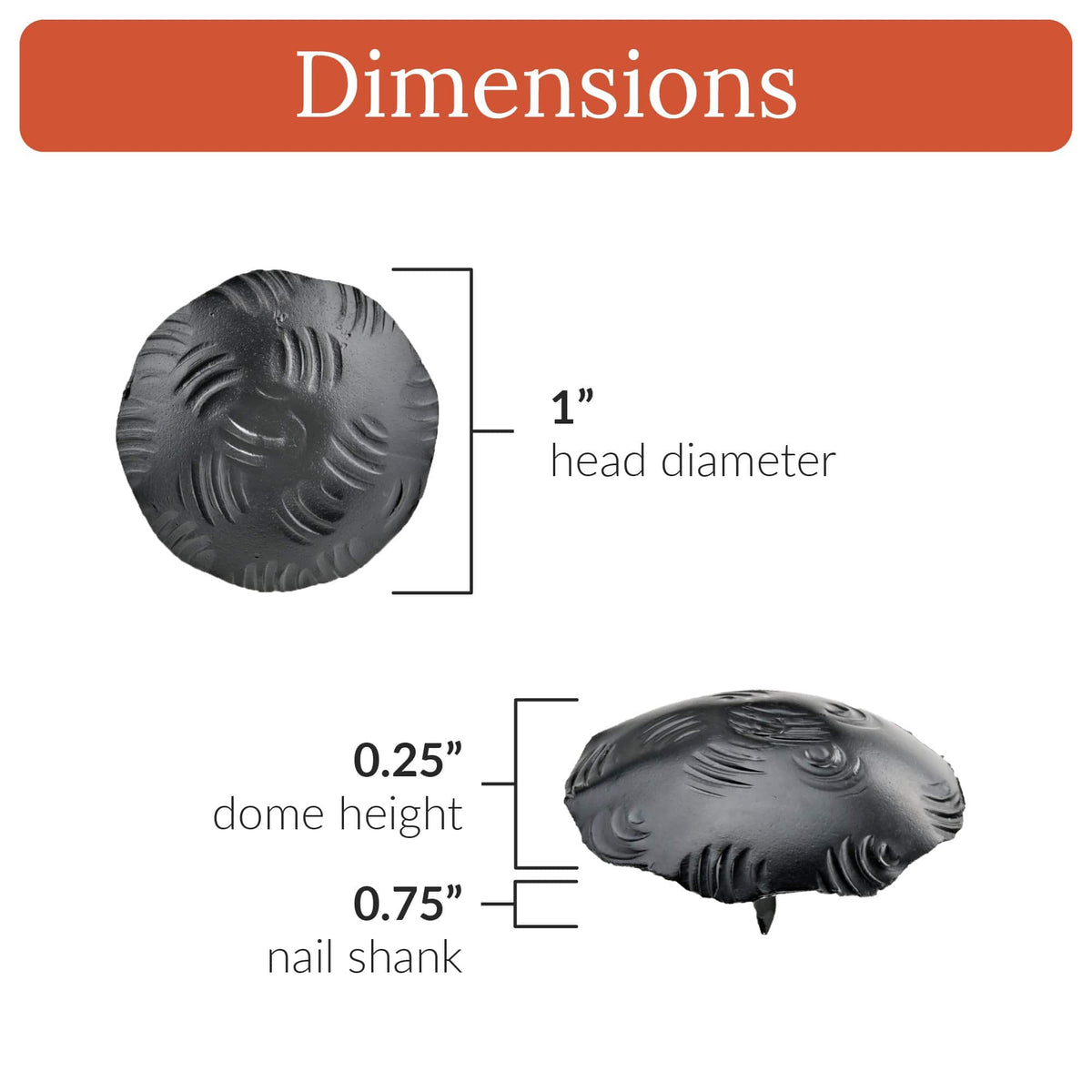 Bohemian Series | 1&quot; Round Decoraitve Nails &amp; Clavos