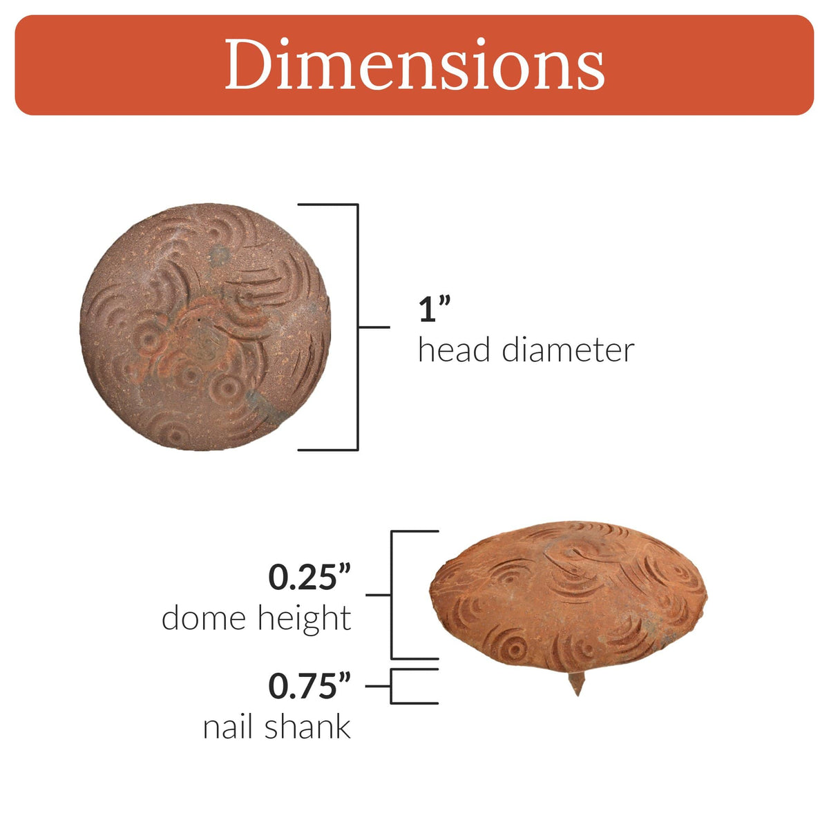 Bohemian Series | 1&quot; Round Decoraitve Nails &amp; Clavos