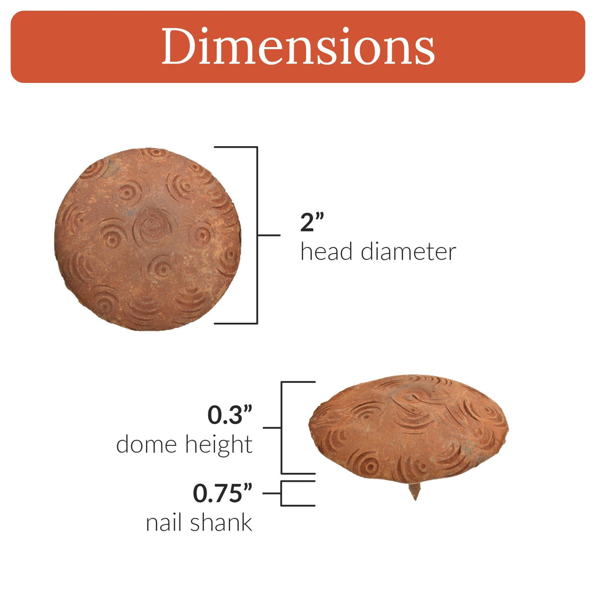 Bohemian Series | 2&quot; Round Decorative Nails &amp; Clavos