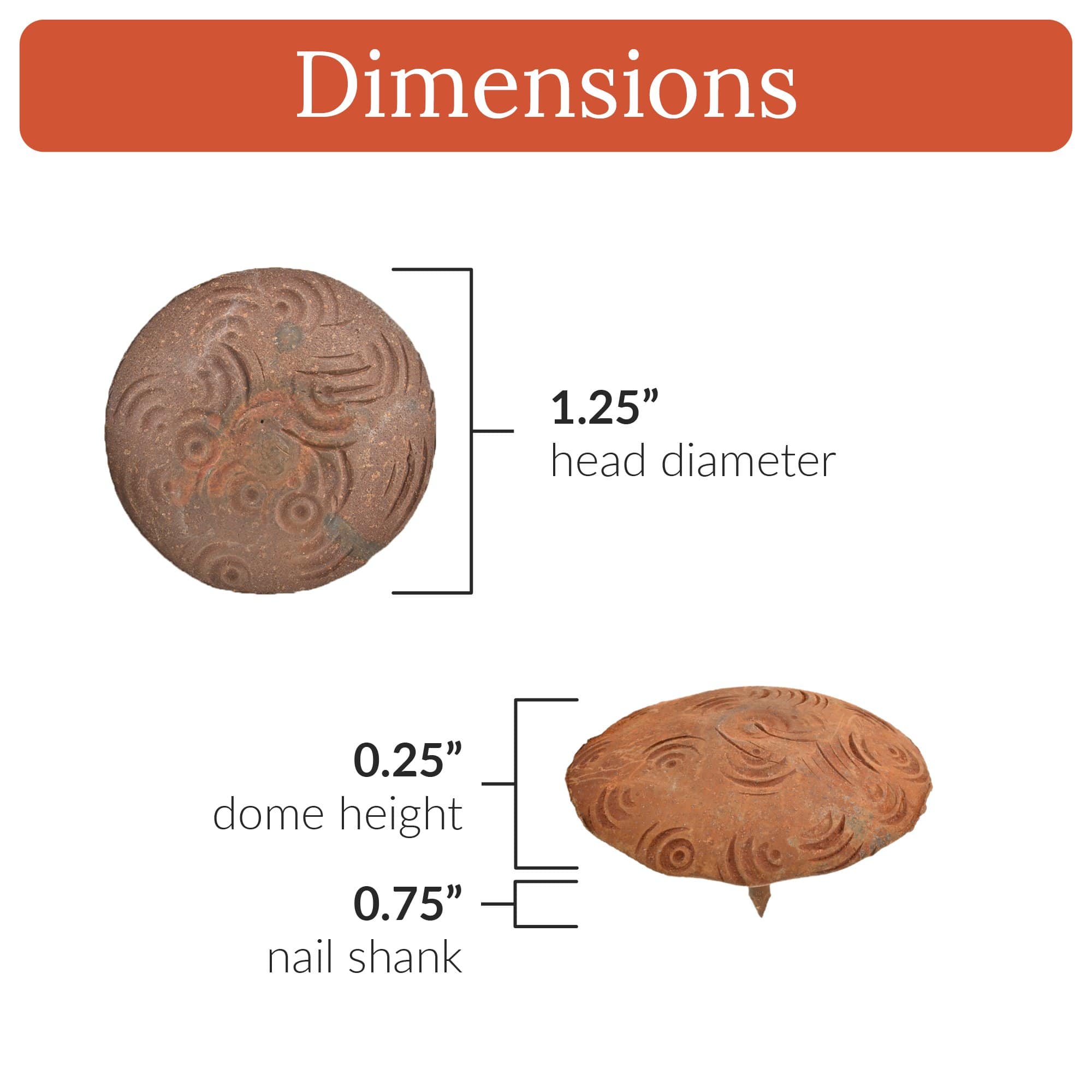 Bohemian Series | 1.25" Round Decorative Nails & Clavos