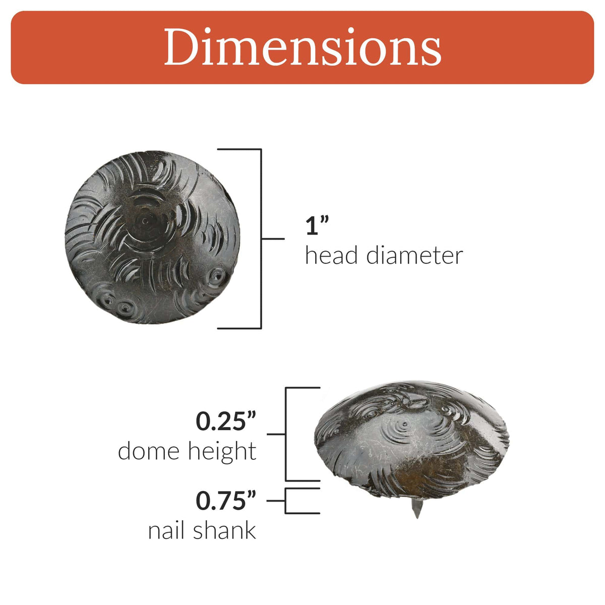 Bohemian Series | 1&quot; Round Decoraitve Nails &amp; Clavos