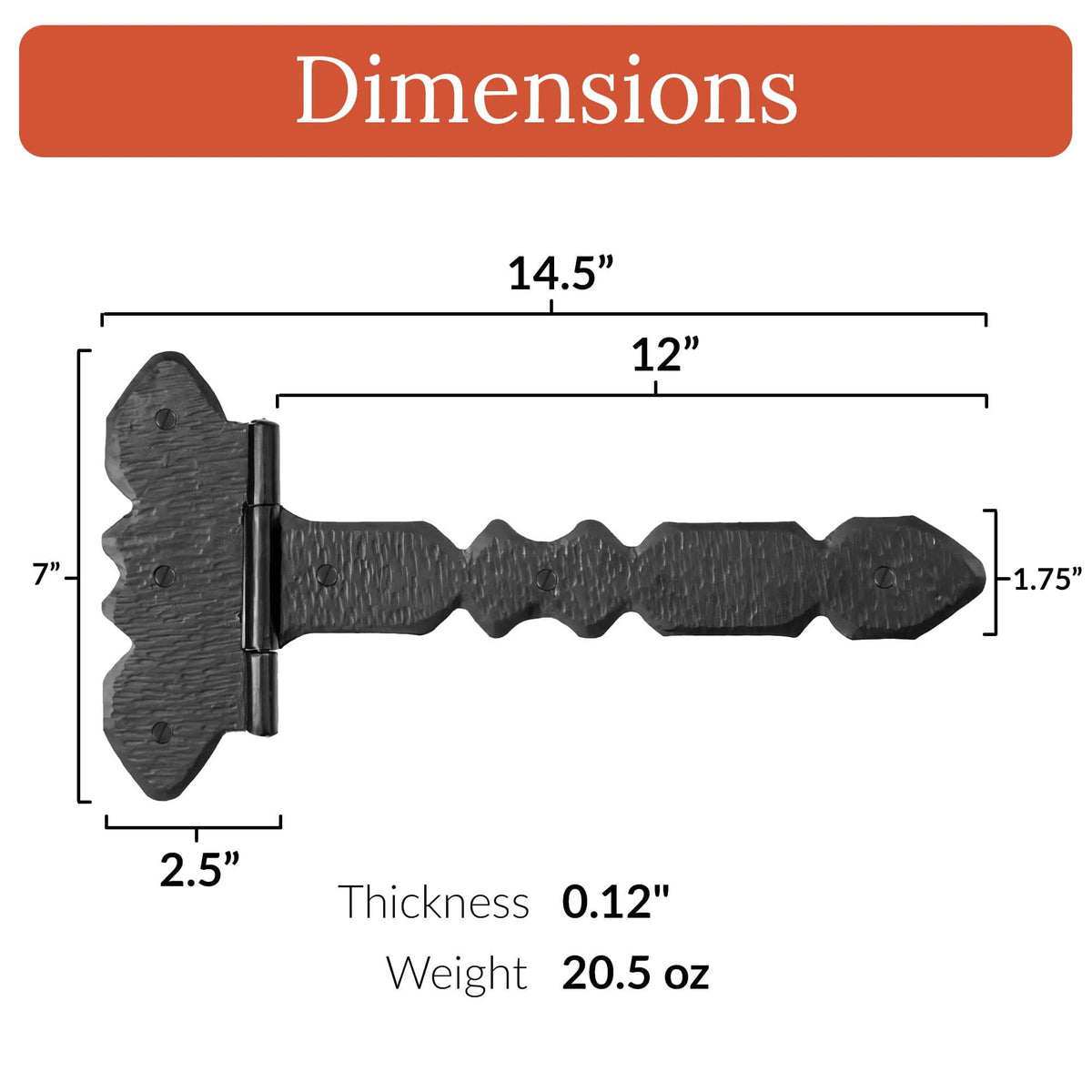 Nuevo Leon Series | Hinge Strap